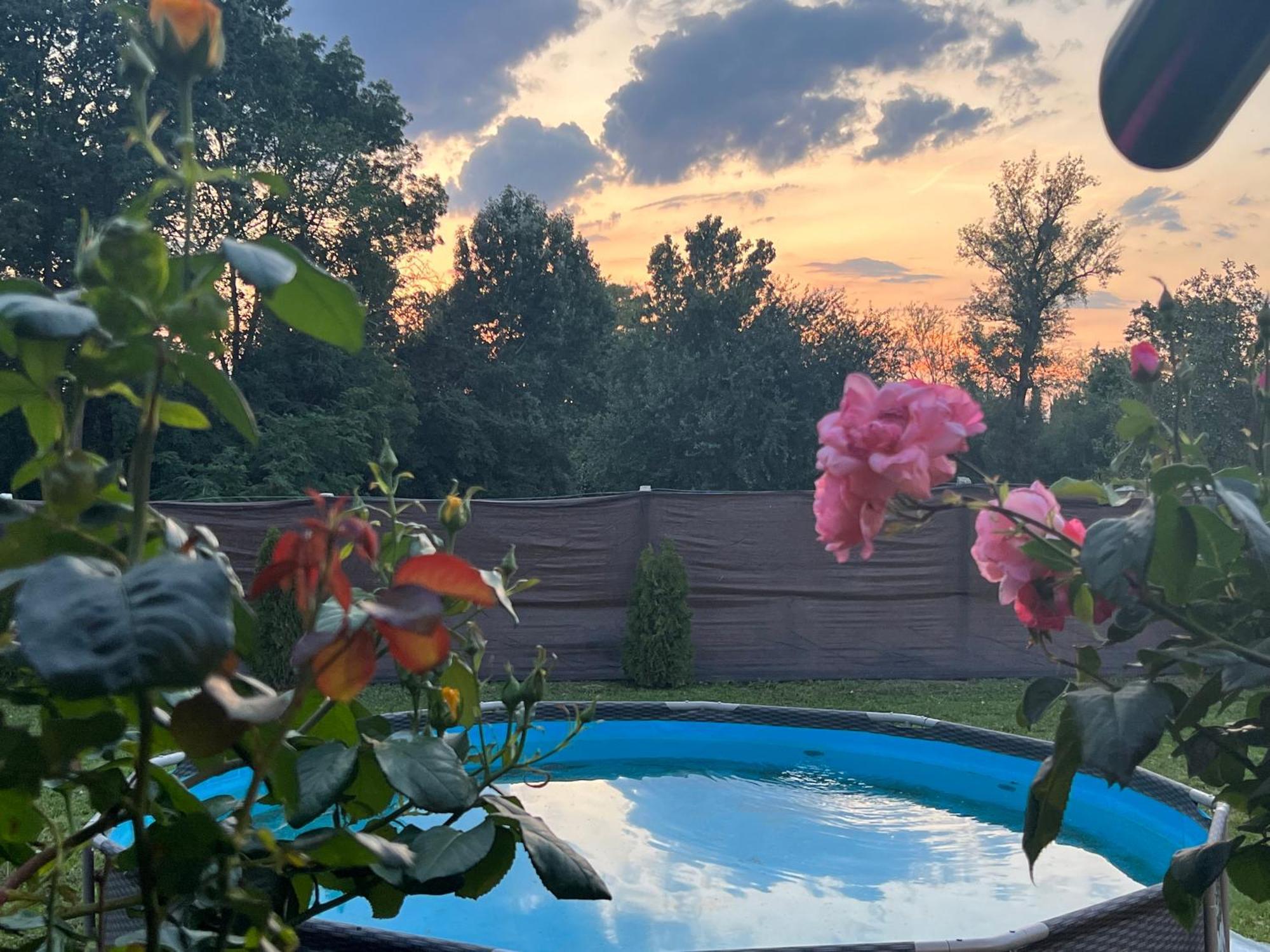 Arany Vendeghaz Villa Szarvas Bagian luar foto