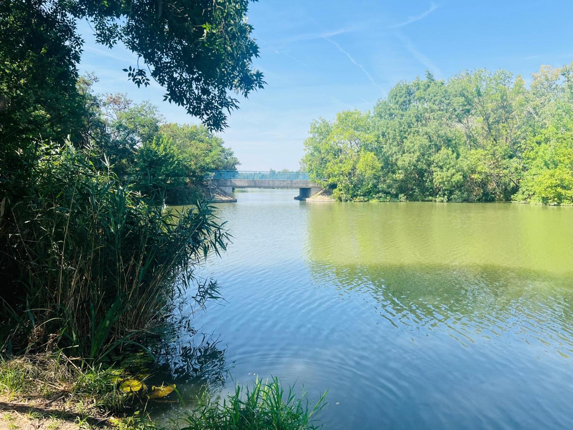 Arany Vendeghaz Villa Szarvas Bagian luar foto