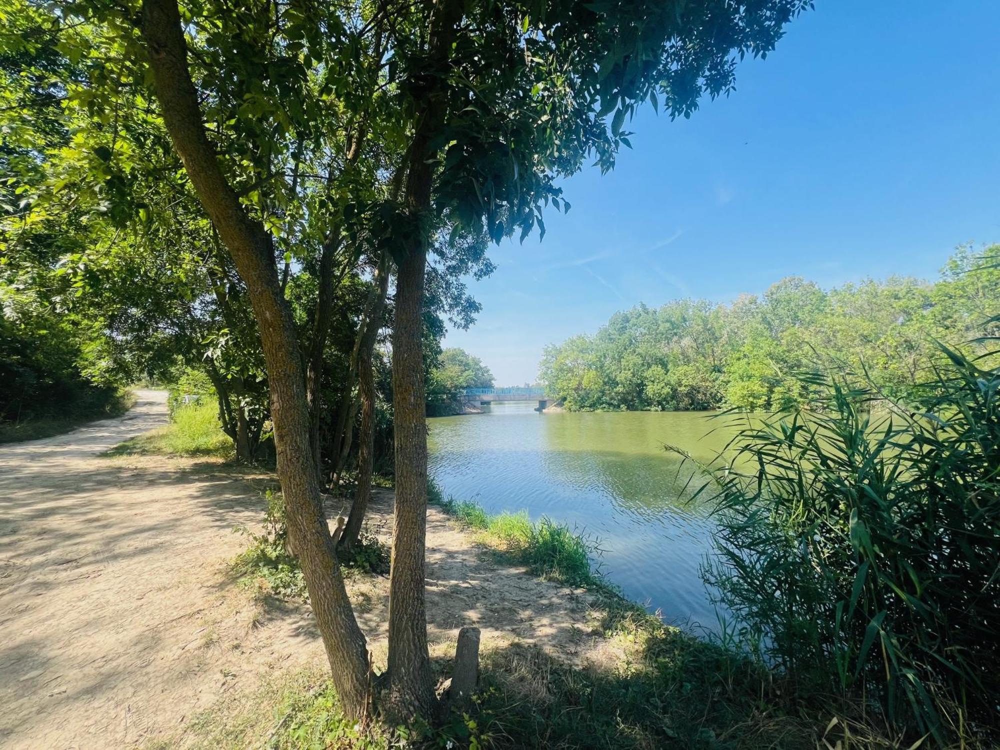 Arany Vendeghaz Villa Szarvas Bagian luar foto